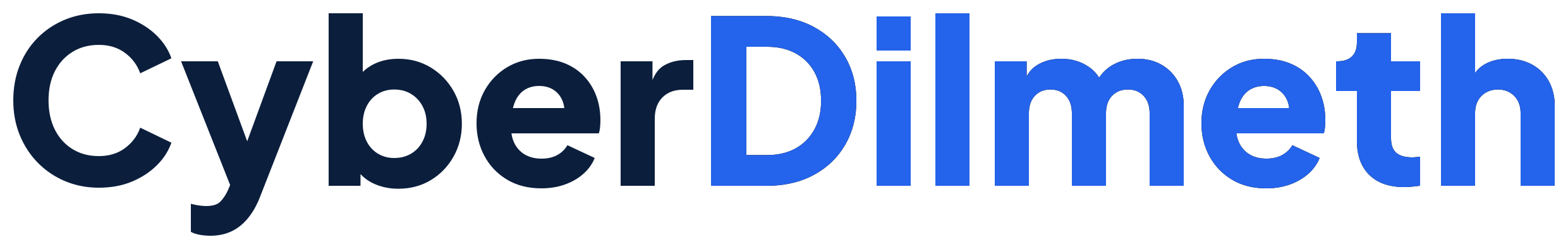 CyberDilmeth